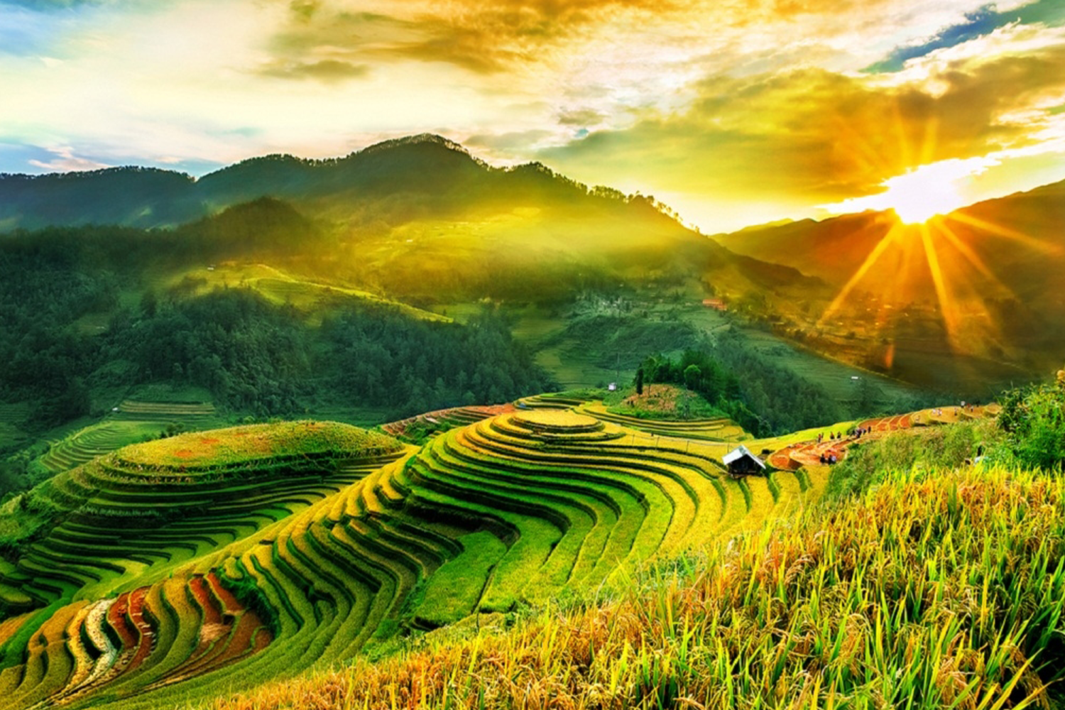 Hà Nội - Sapa - Hạ Long