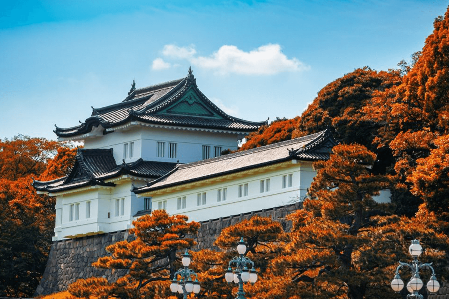 Tour Nhật Bản